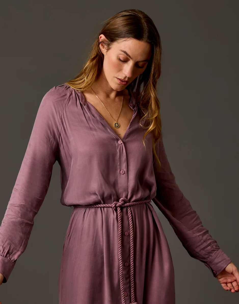 Solana Kindsilk Dress: Rose Taupe - Image 8